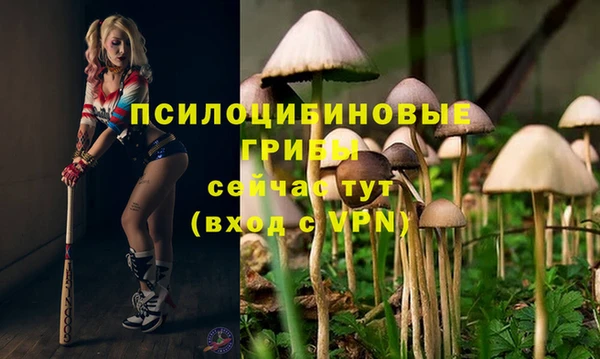 хмурый Беломорск
